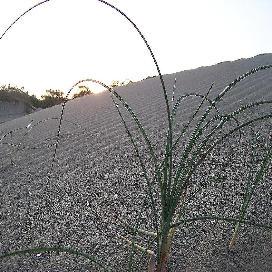 Patara Caretta Hotel 外观 照片